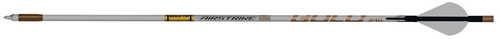 Gold Tip AirStrike Arrows 250 Raptor Vanes 6 pk. Model: AS250A26 - Western Gun Store