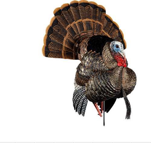 Avian X HDR Strutter Turkey Decoy - Western Gun Store
