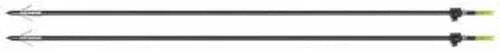Centerpoint Bowfishing Arrows 2 Pack - Western Gun Store