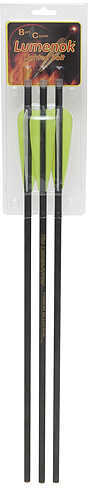 LumeFALSEk CrossbowBolts HDOrange w/Moon FALSEck 20 in. 3 pk Model: BECC3