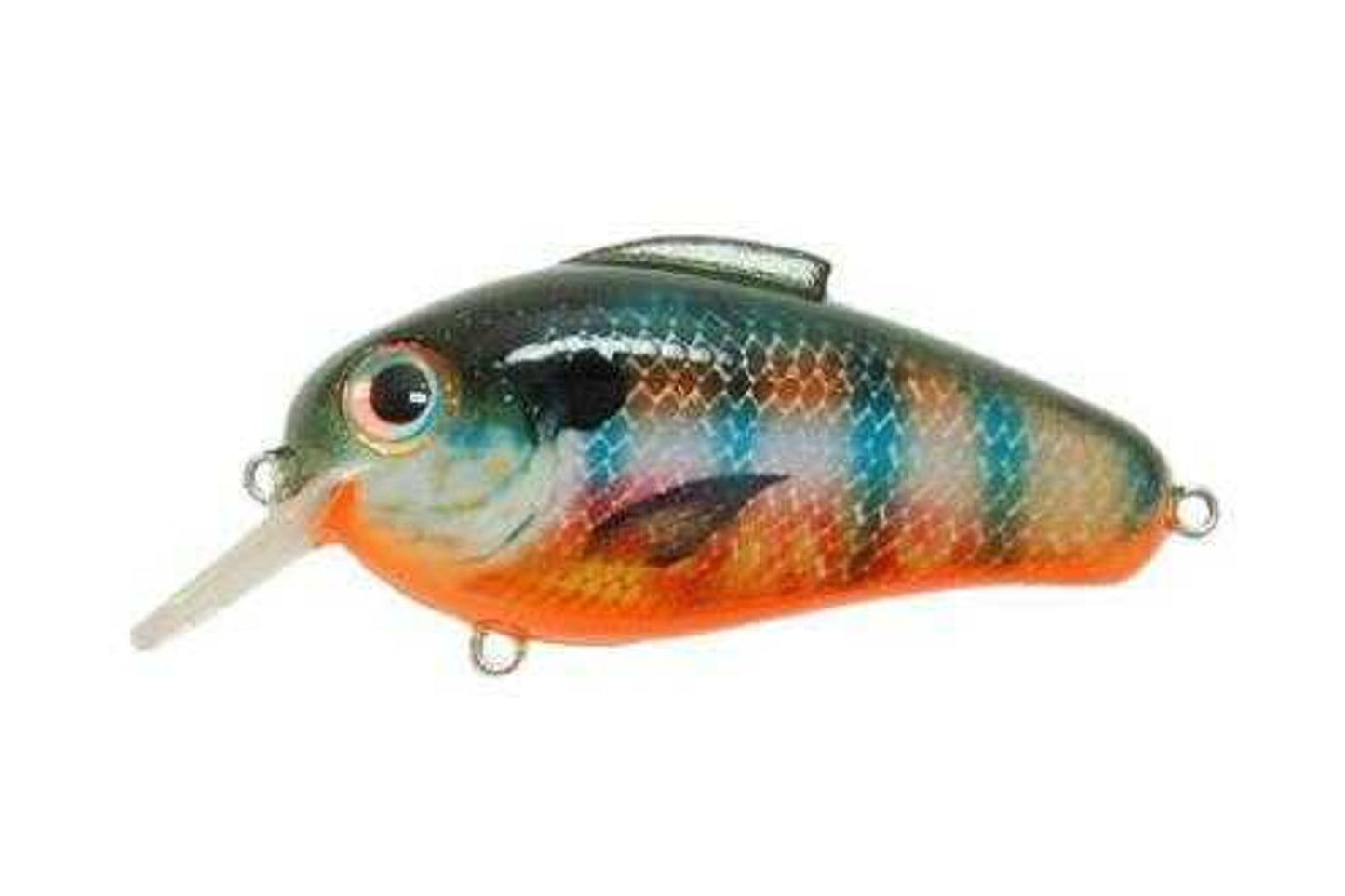 Bill Lewis Lures Echo 1.75 Crankbait 5/8 StumpkFALSEcker Model: EC-254
