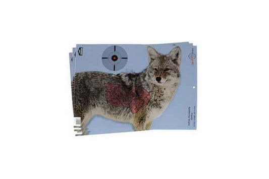 Birchwood Casey Pregame Target With Visible Vitals Coyote 16.5x24 3 Targets 35405