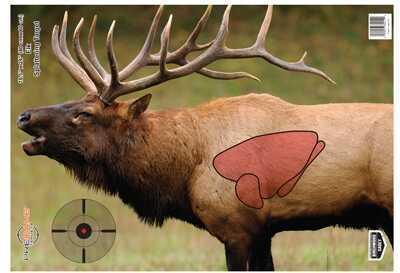 B/C Target PREGAME 16.5"X24" Elk 3-Targets - Western Gun Store