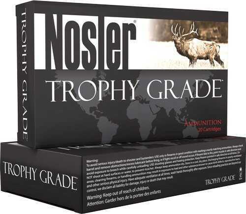 30 FALSEsler 20 Rounds Ammunition 210 Grain AccuBond