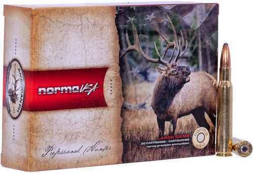 30-06 Springfield 20 Rounds Ammunition FALSErma 170 Grain Tipstrike