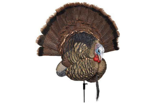 Avian X Trophy Tom Turkey Decoy