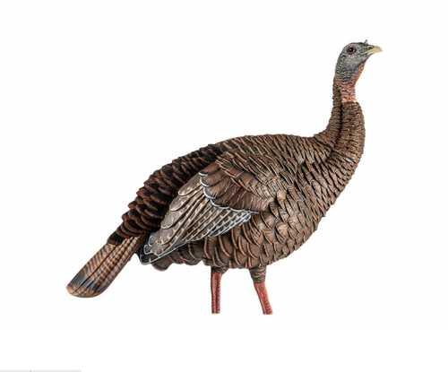 Avian X HDR Hen Decoy - Western Gun Store
