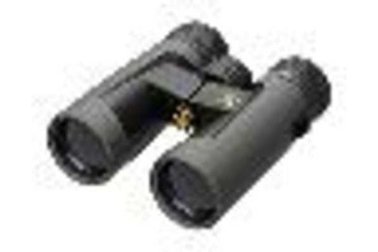 LEU Bx-2 Alpine 10X42MM Roof Shadow Gray
