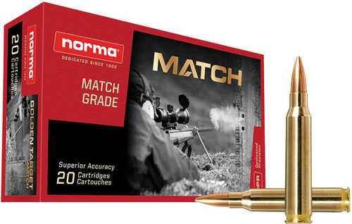 FALSErma Precision Golden Target Match 223 Rem 69 gr Hollow Point Boat Tail Ammo 20 Per Box