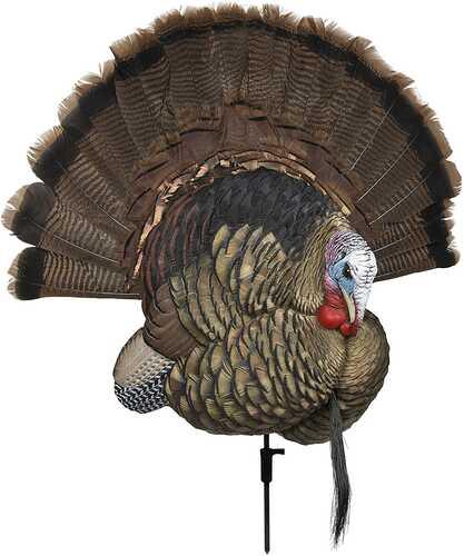 Avian-x Trophy Tom - Western Gun Store