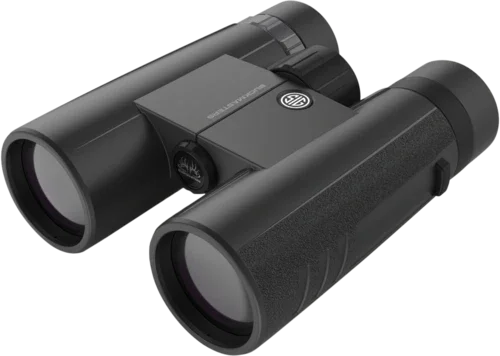 Sig Buckmasters BiFALSE 10x42 Black