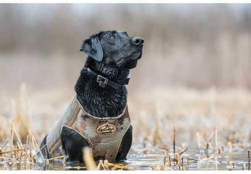 Rig Em Right Bloodline Elite Dog Vest Optifade Timber M - Western Gun Store