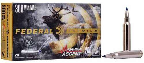 Fed Terminal Ascent 300Win 175Gr 20/10