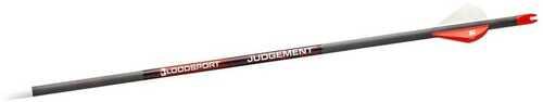 Bloodsport Judgement Arrow 350 Spine 6/Pk - Western Gun Store