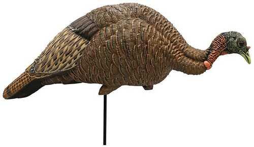 Mojo Decoys MOJO Feeder / Breeder Hen Turkey Decoy HW2539 - Western Gun Store