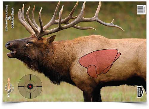 Birchwood Casey Bc-35404 Pregame Elk Target Paper 16.50" X 24" 3 Per Pkg - Western Gun Store
