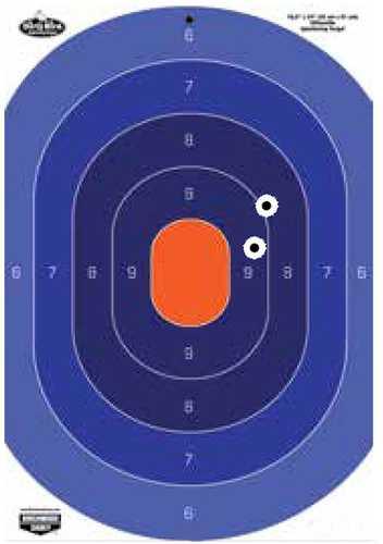 Birchwood Casey Bc-35763 Dirty Bird Silhouette Oval Tagboard Target 16.50" X 24" 3 Per Pkg - Western Gun Store