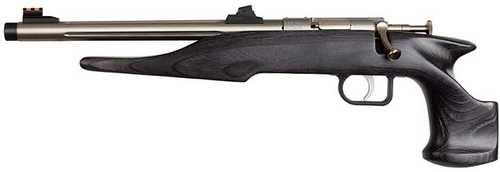 Chipmunk Pistol Hunter 22LR Stainless Finish Blued Fluted 10.5" Barrel Blue/Black Laminated Stock Adjustable Fiber Optic Sights
