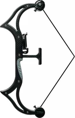 AccuBow NaFALSE