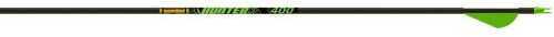 Gold Tip Hunter Xt Arrows 400 Blazer Vanes 36 Pk.