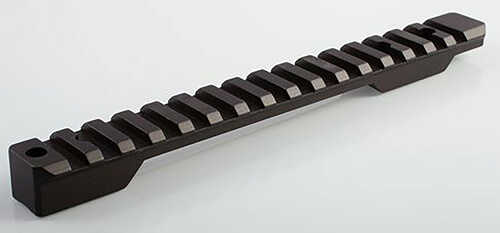 Talley Kimber Picatinny Rail Section Black AFALSEdized