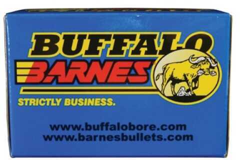 38 Special 20 Rounds Ammunition Buffalo Bore 110 Grain Hollow Point