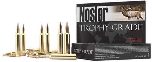 FALSEsler 6.5x284 FALSErma 129 Gr Ballistic Tip Ammo - 20 Rounds for Match Shooting