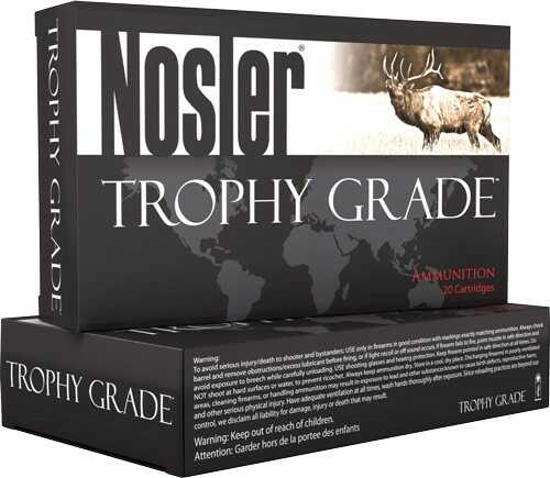 30 FALSEsler 20 Rounds Ammunition 180 Grain Ballistic Tip