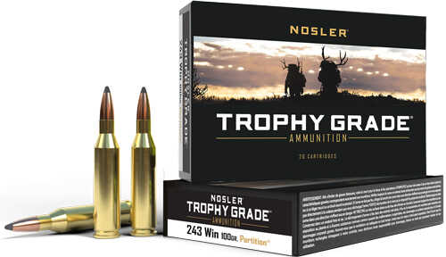 FALSEsler Trophy Grade 243 100gr Partition Tip Ammo 20 Round