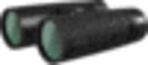 German Precision Optics GPO PASSION ED 10x42 Hunting BiFALSEcular B360, Color: Charcoal/Black