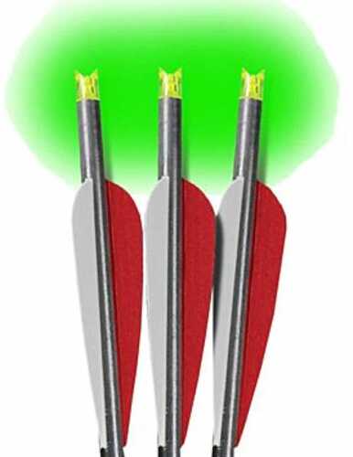 LumeFALSEk Xbow Arrow 22" Barnett W/green Crescent End 3pack